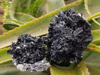 Natural Schorl Black Tourmaline Specimens x 2 From Erongo, Namibia