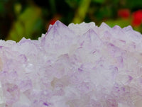 Natural Sunburst Amethyst Spirit Clusters x 2 From Boekenhouthoek, South Africa