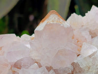 Natural Sunburst Amethyst Spirit Clusters x 2 From Boekenhouthoek, South Africa