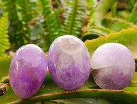 Polished Chevron Amethyst Galets x 20 From Madagascar