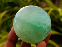 Polished Green Fluorite Palm Stones x 20 From Madagascar