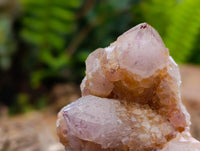 Natural Sunburst Amethyst Spirit Clusters x 12 From Boekenhouthoek, South Africa