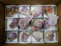 Natural Sunburst Amethyst Spirit Clusters x 12 From Boekenhouthoek, South Africa