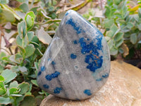 Polished Blue Spotted Spinel In Quartz Standing Free Forms x 2 From Madagascar
