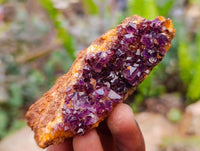 Natural Amethystos Amethyst Clusters x 20 From Kwaggafontein, South Africa