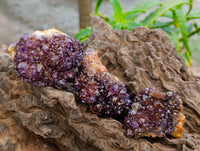 Natural Amethystos Amethyst Clusters x 20 From Kwaggafontein, South Africa