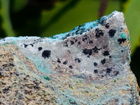Natural Drusy Coated Chrysocolla With Malachite Specimens x 2 From Lupoto Mine, Congo