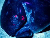 Hand Made Verdite Hippos Carvings x 2 From Zimbabwe