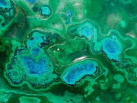 Polished XXL Malacolla Free Form x 1 From Kulukuluku, Congo