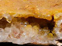 Natural XL Golden Limonite Quartz Cluster x 1 From Solwezi Zambia