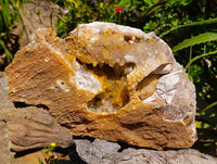 Natural XL Golden Limonite Quartz Cluster x 1 From Solwezi Zambia