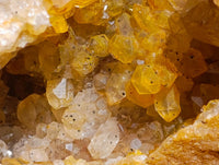 Natural XL Golden Limonite Quartz Cluster x 1 From Solwezi Zambia