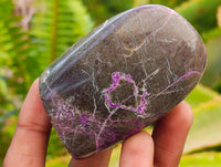 Polished Stichtite Standing Free Forms x 6 From Barberton, South Africa