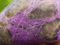 Polished Stichtite Standing Free Forms x 6 From Barberton, South Africa