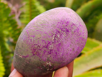 Polished Stichtite Standing Free Forms x 6 From Barberton, South Africa