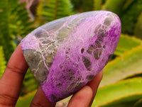 Polished Stichtite Standing Free Forms x 6 From Barberton, South Africa