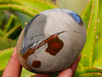 Polished Polychrome Jasper Galets x 6 From NW Coast, Madagascar