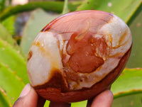 Polished Polychrome Jasper Galets x 6 From NW Coast, Madagascar
