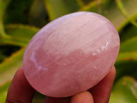 Polished Rose Quartz Palm Stones x 12 From Madagascar