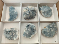 Natural Blue Celestite Specimens x 7 From Sakoany, Madagascar