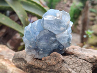 Natural Blue Celestite Specimens x 7 From Sakoany, Madagascar