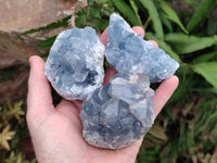 Natural Blue Celestite Specimens x 7 From Sakoany, Madagascar