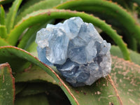 Natural Blue Celestite Specimens x 7 From Sakoany, Madagascar