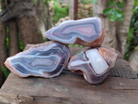 Polished Red Shashe River Agate Nodules x 6 From Shashe River, Zimbabwe