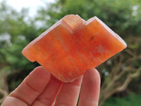 Natural Sunset Orange Calcite Specimens x 24 From Spitzkop, Namibia