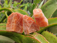 Natural Sunset Orange Calcite Specimens x 24 From Spitzkop, Namibia
