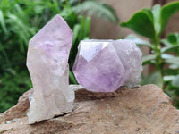 Natural Jacaranda Amethyst Crystals x 12 From Mumbwa, Zambia
