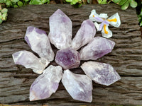Natural Jacaranda Amethyst Crystals x 12 From Mumbwa, Zambia