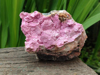 Natural Salrose Cobaltion Dolomite Specimens x 4 From Kakanda, Congo