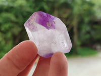 Polished Window Amethyst Crystals x 12 From Akansobe, Madagascar