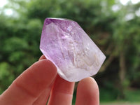 Polished Window Amethyst Crystals x 12 From Akansobe, Madagascar