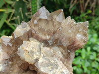 Natural Clear Smokey Citrine Quartz Cluster x 1 From Luena, Congo