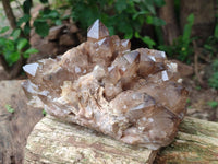 Natural Clear Smokey Citrine Quartz Cluster x 1 From Luena, Congo