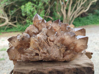 Natural Clear Smokey Citrine Quartz Cluster x 1 From Luena, Congo