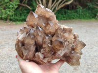 Natural Clear Smokey Citrine Quartz Cluster x 1 From Luena, Congo