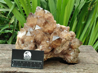 Natural Clear Smokey Citrine Quartz Cluster x 1 From Luena, Congo