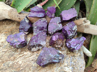 Natural Metallic Purpurite Specimens x 12 From Erongo, Namibia