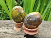 Polished Green Opal Free Forms x 12 From Betroka, Madagascar