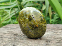 Polished Green Opal Free Forms x 12 From Betroka, Madagascar