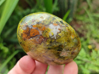 Polished Green Opal Free Forms x 12 From Betroka, Madagascar