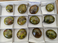 Polished Green Opal Free Forms x 12 From Betroka, Madagascar