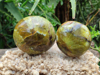 Polished Green Opal Free Forms x 12 From Betroka, Madagascar