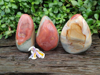 Polished Polychrome Jasper Standing Free Forms x 3 From NW Coast, Madagascar