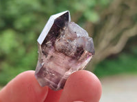 Natural Window Amethyst Crystals x 12 From Chiredzi, Zimbabwe