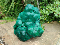 Polished Large Botryoidal Silky Malachite Specimen x 1 From Congo