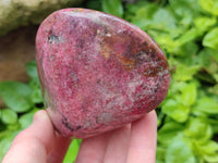 Polished Rhodonite Standing and Free Forms x 3 From Rhusinga, Zimbabwe